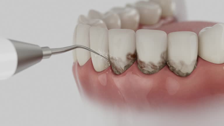 Reliable Dental contractor in Tresckow, PA by Dentist Open Now